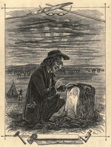 THE PROFESSOR--A REMARKABLE STONE