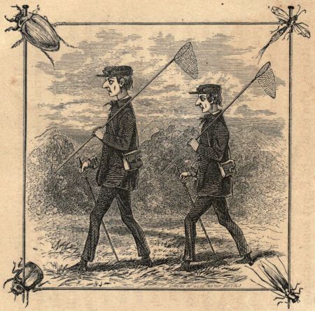 COLON AND SEMI-COLON